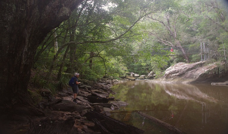 Piles Creek suspension bridge in Brisbane Water National Park. Photo: B Collier