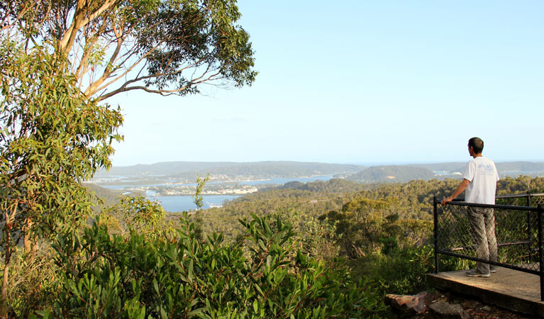 Staples lookout, Brisbane Water National Park. Photo: John Yurasek