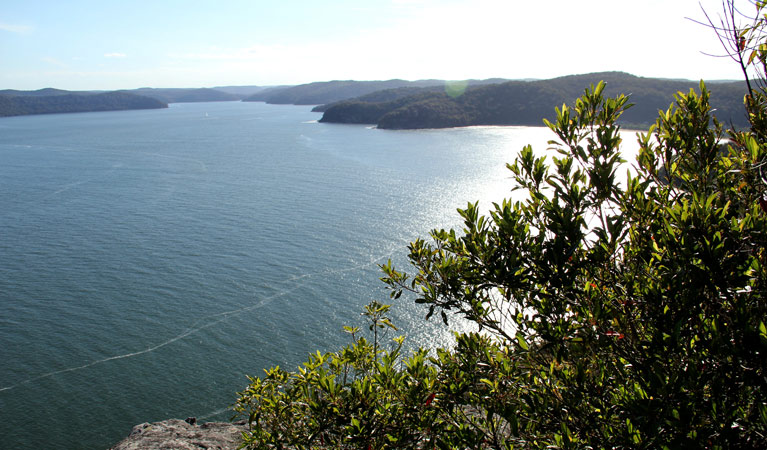 Warrah Trig cycling loop, Brisbane Water National Park. Photo: John Yurasek