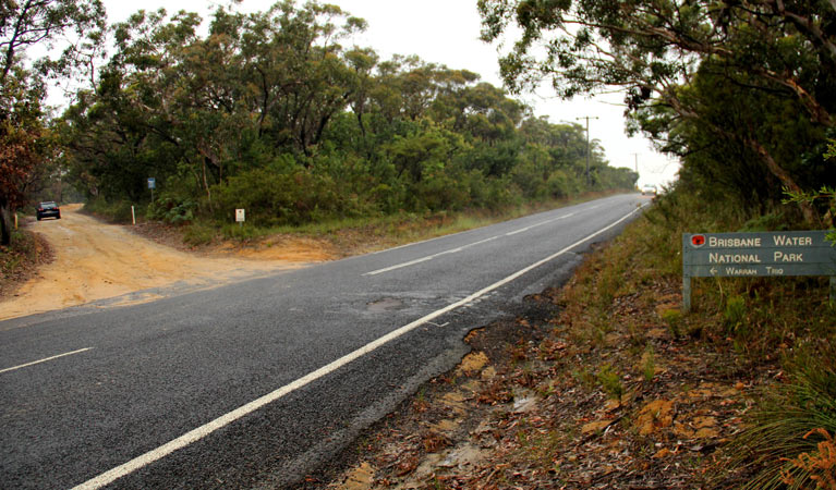 Warrah Trig cycling route, Brisbane Water National Park. Photo: John Yurasek