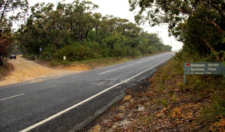 Warrah Trig cycling route, Brisbane Water National Park. Photo: John Yurasek