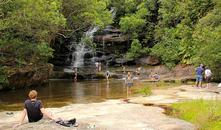 Somersby Falls picnic area | NSW National Parks