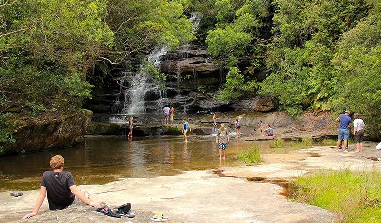 Somersby Falls picnic area, Brisbane Water National Park. Photo: John Yurasek