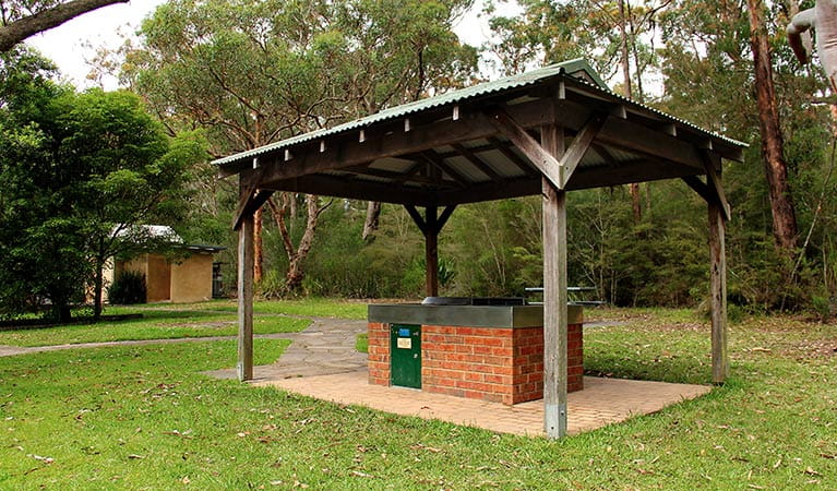 Somersby Falls picnic area, Brisbane Water National Park. Photo: John Yurasek &copy; DPIE