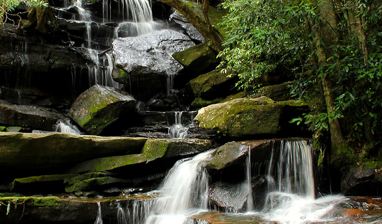 Somersby Falls picnic area, Brisbane Water National Park. Photo: John Yurasek