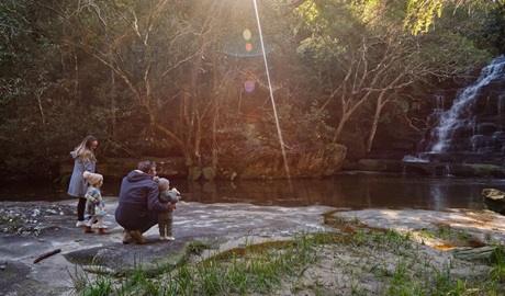A family of four stops to admire the falls at the base of Somersby Falls walking track, Brisbane Water National Park. Credit: Stuart Cohen, Bottle Brush Media © DCCEEW