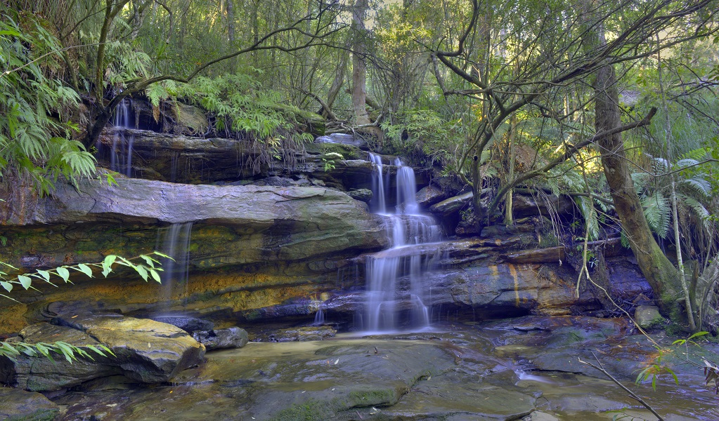Somersby Falls, Brisbane Water National Park. Credit: Stuart Cohen, Bottle Brush Media © DCCEEW