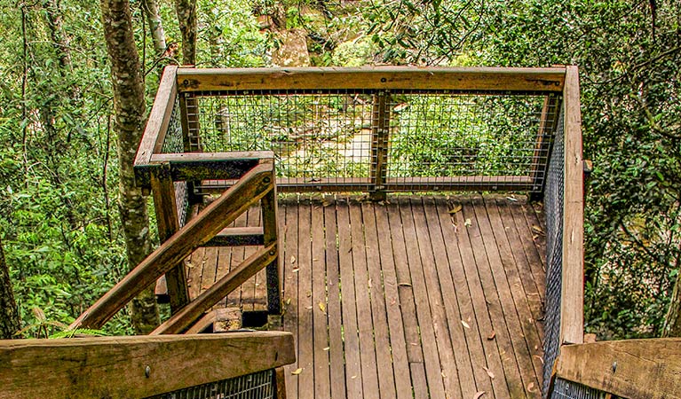 Somersby Falls walking track, Brisbane Water National Park. Photo: John Yurasek &copy; OEH