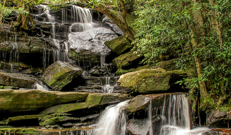 Somersby Falls walking track, Brisbane Water National Park. Photo: John Yurasek &copy; OEH