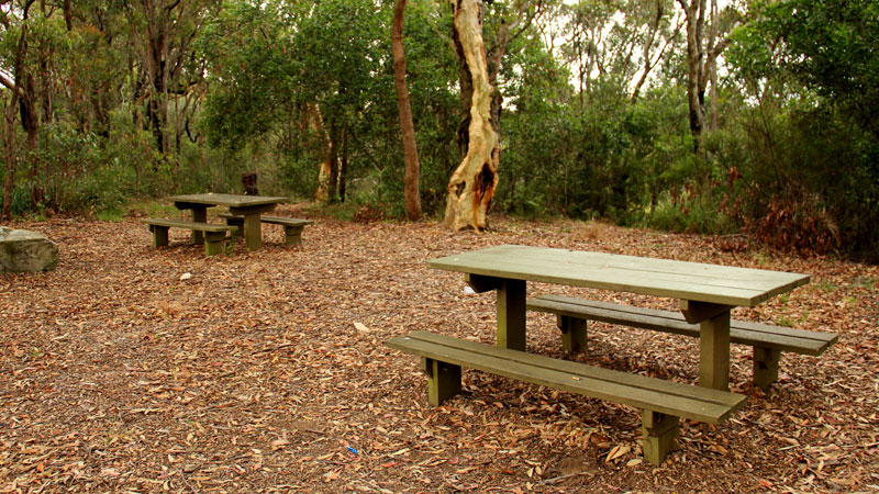 Picnic tables at Staples lookout picnic area. Photo: John Yurasek &copy; DPIE