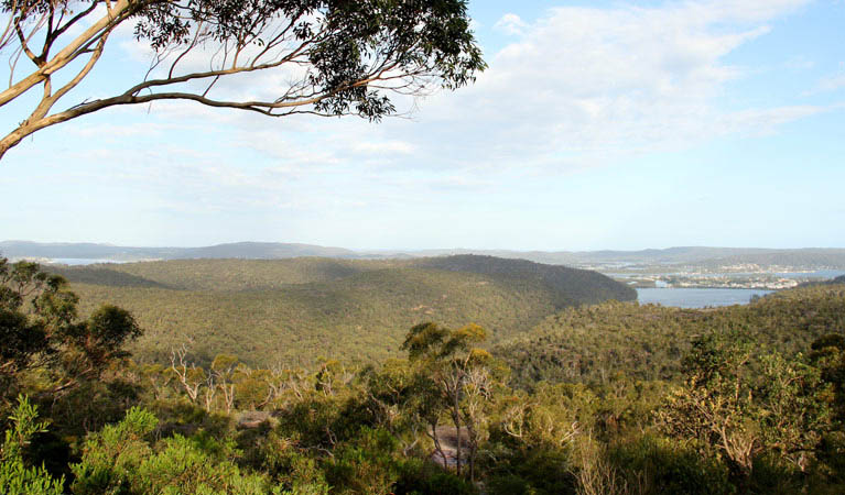 Staples lookout, Brisbane Water National Park. Photo: John Yurasek/NSW Government