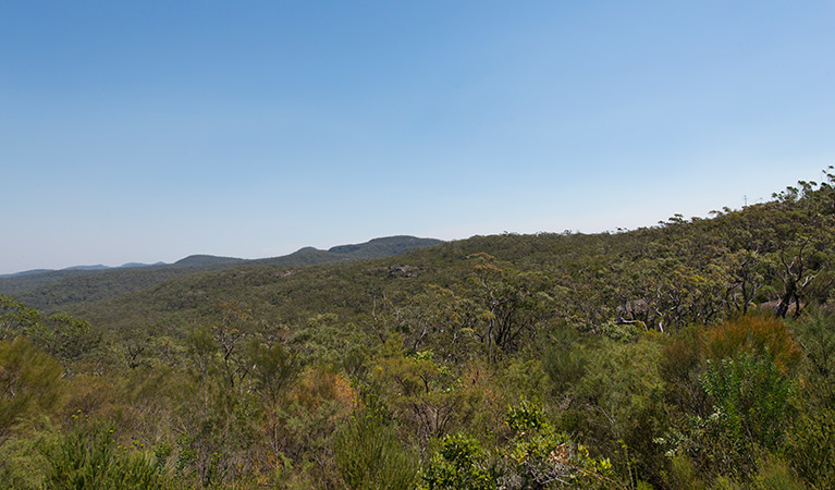 Tommos loop and Rocky Ponds cycling loop, Brisbane Water National Park. Photo: John Spencer