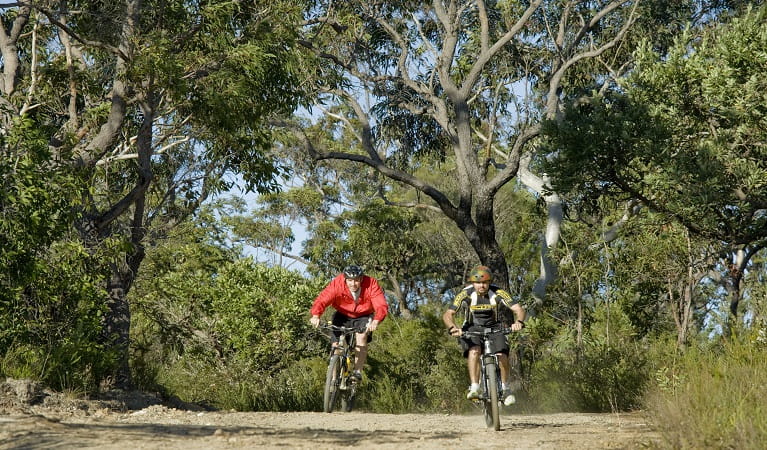 Cyclists enjoying a bike ride along Tommos loop and Rocky Ponds cycling loop. Photo: Evolving images