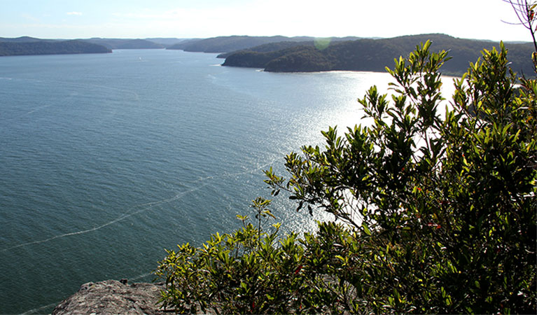 Warrah lookout, Brisbane Water National Park. Photo: Kevin McGrath