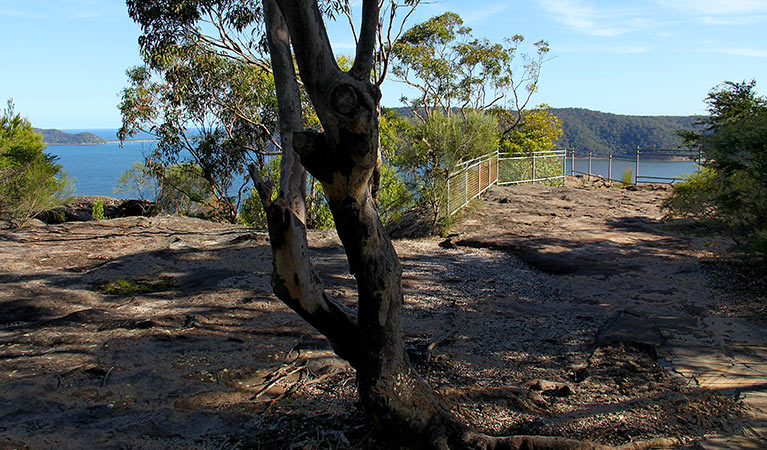 Warrah lookout, Brisbane Water National Park. Photo: Kevin McGrath