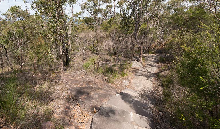 Wondabyne to Patonga walking track, Brisbane Water National Park. Photo: John Spencer