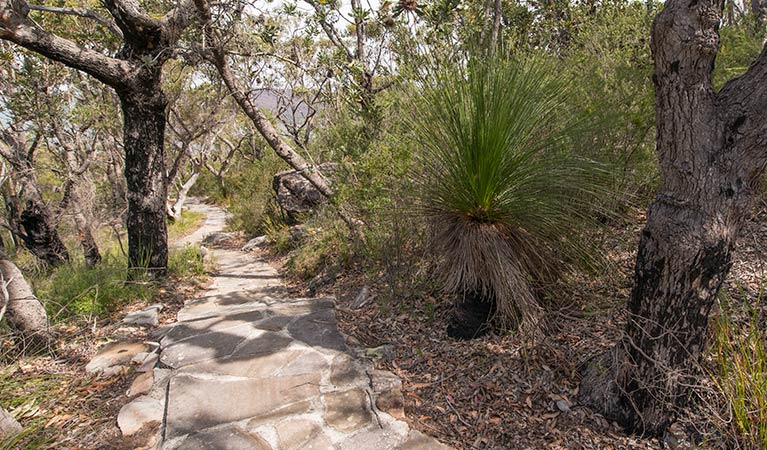 Wondabyne to Patonga walking track, Brisbane Water National Park. Photo: John Spencer