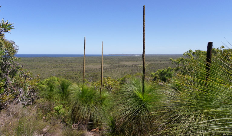 Broadwater inland lookout, Broadwater National Park. Photo: L Walker