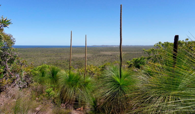 Broadwater inland lookout, Broadwater National Park. Photo: L Walker