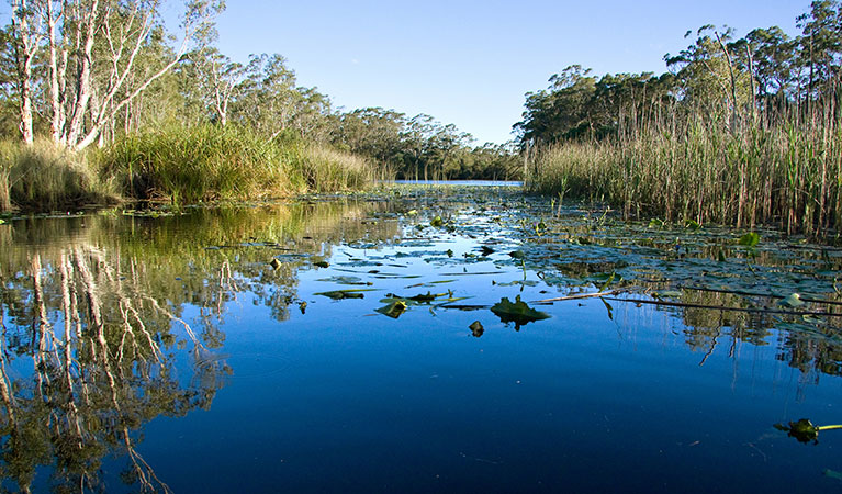 Esk River Broadwater National Park. Photo &copy; John Turbill