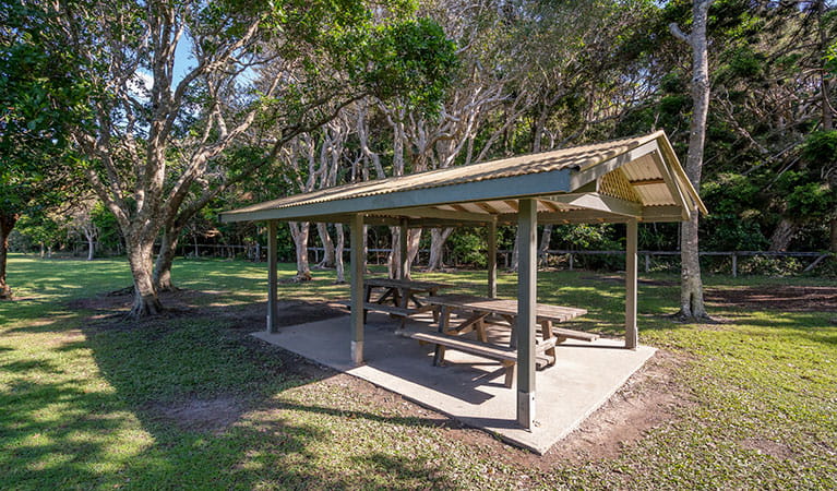 Picnic shelter at Broken Head picnic area in Broken Head Nature Reserve. Photo: John Spencer/DPIE 