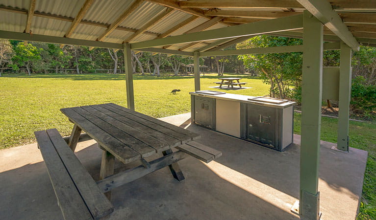 Picnic shelter with a picnic table and barbecue at Broken Head picnic area in Broken Head Nature Reserve. Photo: John Spencer/DPIE