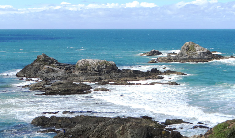 Cocked Hat Rocks, Broken Head Nature Reserve. Photo: D Mackey/NSW Government