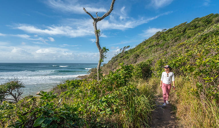 A woman walking along Three Sisters walking track looking out over the sea in Broken Head Nature Reserve. Photo: John Spencer/DPIE