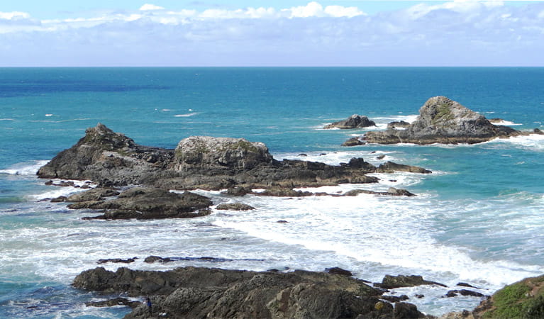 The view of the ocean from Three Sisters walking track in Broken Head Nature Reserve. Photo: Dianne Mackey