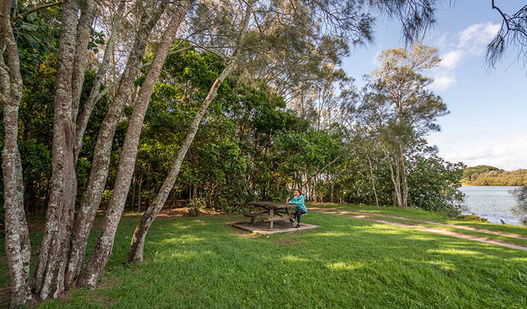 A woman sitting at a picnic table surrounded by trees in Brunswick River picnic area, Brunswick Heads Nature Reserve. Photo: John Spencer/DPIE