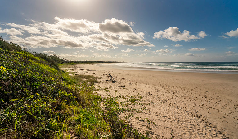 Beach area along North Head walking track in Brunswick Heads Nature Reserve. Photo: John Spencer/DPIE