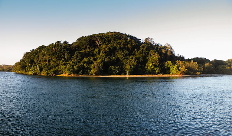 Brunswick Heads Nature Reserve. Photo: L Cameron/NSW Government