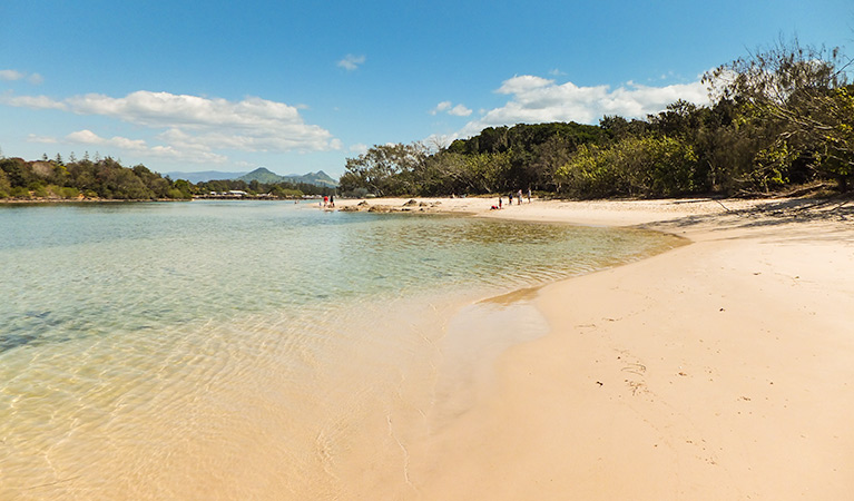 Brunswick Heads Nature Reserve. Photo: L Cameron/NSW Government