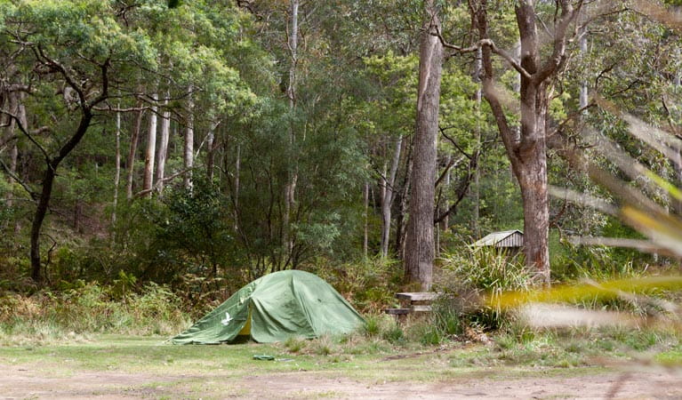 Long Gully picnic area pitch, Budawang National Park. Photo: Lucas Boyd &copy; OEH