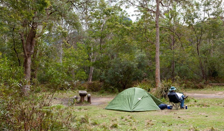 Long Gully picnic area, Budawang National Park. Photo: Lucas Boyd &copy; OEH