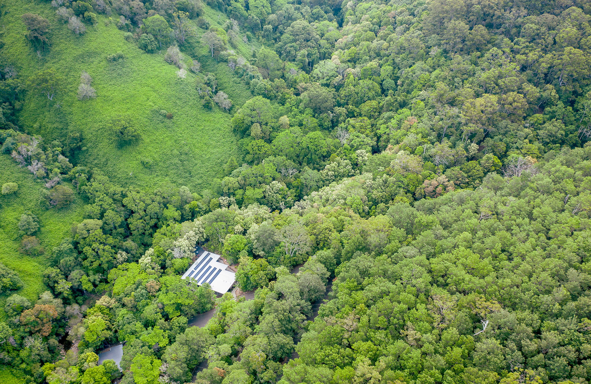 Aerial view of Minnamurra Rainforest Centre and surrounding forest. Photo: John Spencer &copy; DPIE