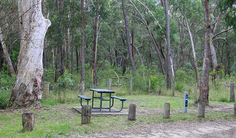 Carrington Falls campground, Budderoo National Park. Photo credit: Chris Keyzer &copy; DPIE