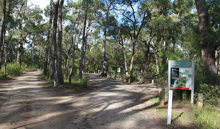 Entrance to Carrington Falls campground, Budderoo National Park. Photo: Chris Keyzer/OEH