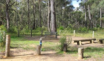 Carrington Falls campground, Budderoo National Park. Photo credit: Chris Keyzer &copy; DPIE