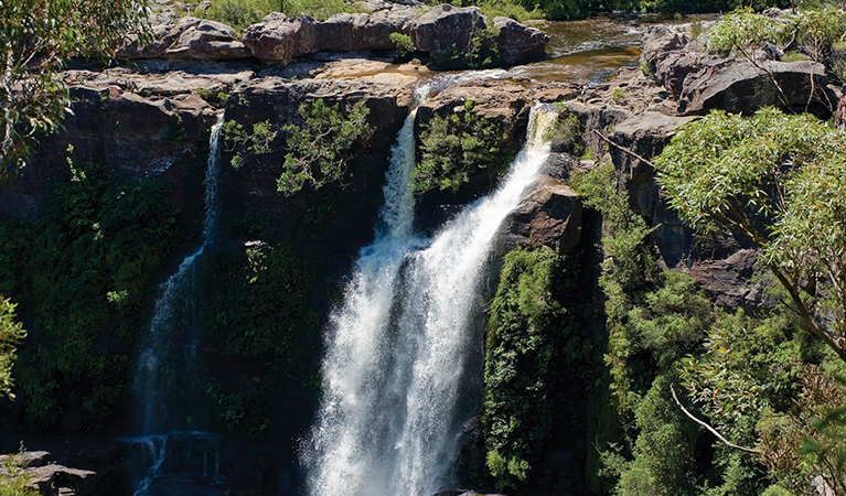 Water cascades over a ledge and down a cliff face at Carrington Falls. Photo credit: Michael Van Ewijk &copy; DPIE