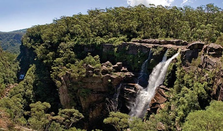 View of Carrington Falls waterfall, Budderoo National Park. Photo credit: Michael Van Ewijk &copy DPIE