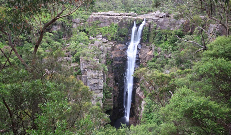 Carrington falls, Budderoo National Park. Photo credit: Andrew Richards &copy; Andrew Richards