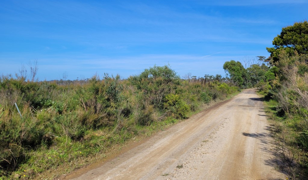 Exposed heathland along Hersey trail in Budderoo National Park. Photo: Jemillah Forbes &copy; DCCEEW