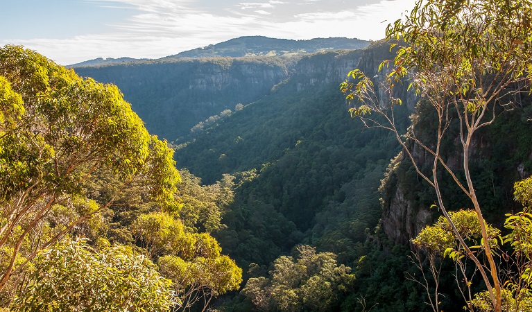 View of Izzards lookout in Budderoo National Park. Photo credit: Michael Van Ewijk &copy; OEH