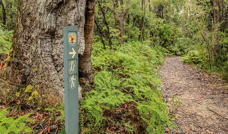 Signpost beside Izzards lookout track, Budderoo National Park. Photo credit: Andrew Richards &copy; Andrew Richards