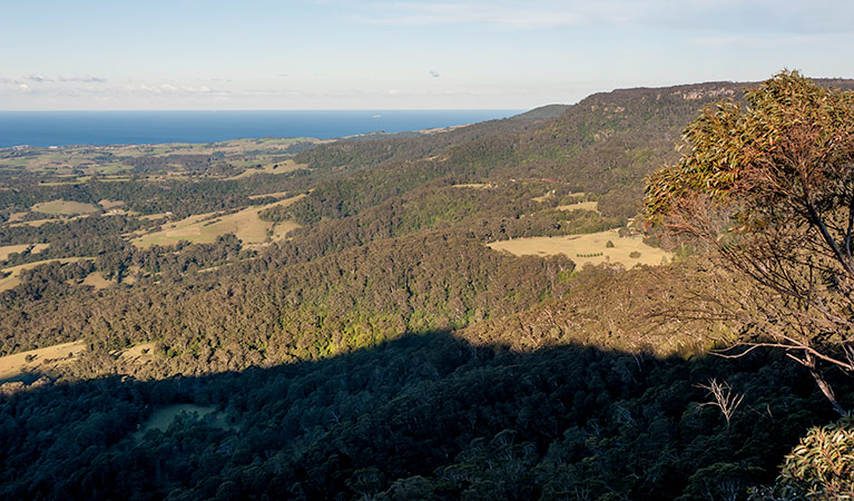 Jamberoo lookout, Budderoo National Park. Photo credit: Michael Van Ewijk &copy; DPIE