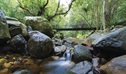 View of vistors walking across the creek along Lyrebird loop walk. Photo credit: David Finnegan &copy; DPIE