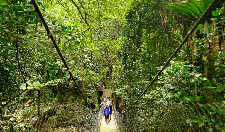 Visitors cross a suspension bridge along Lyrebird loop walk at Minnamurra Rainforest. Photo credit: Elinor Sheargold &copy; DPIE