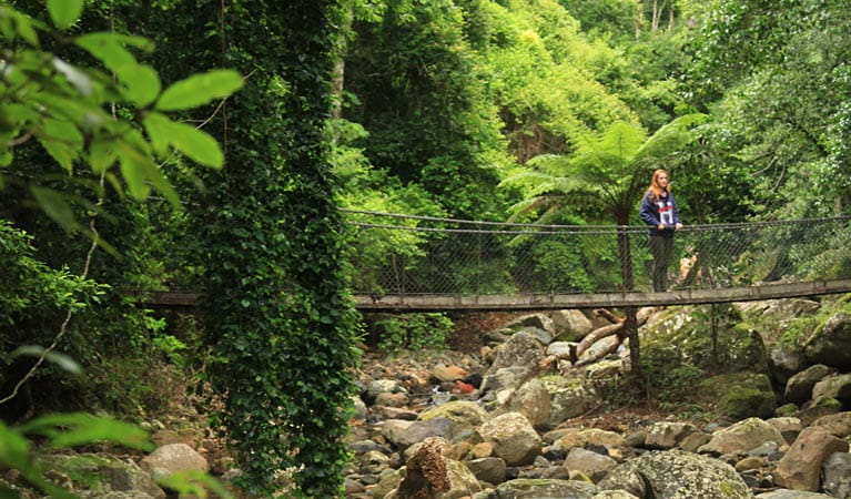 A woman stands on a bridge above a creek, on Rainforest Loop walk. Photo credit: Andrew Richards &copy; Andrew Richards 