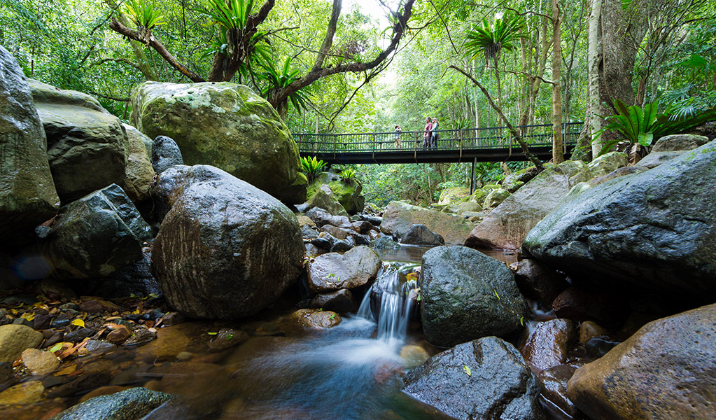 View of vistors walking across the creek along Lyrebird loop walk. Photo credit: David Finnegan &copy; DPIE